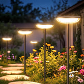 Solar garden lights illuminating a pathway with flowers in a garden at night.